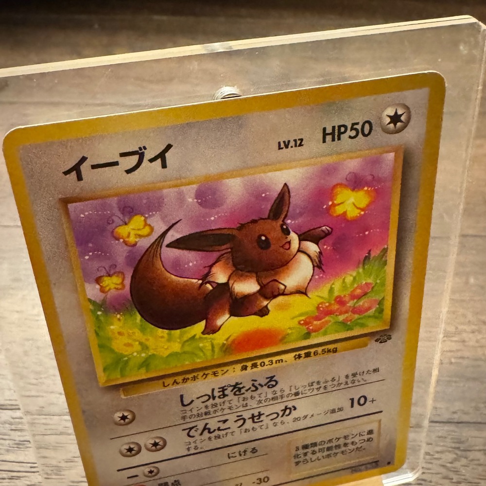 Pokemon Eevee Jungle Japanese 1996 Pocket Monsters LV.12 HP50 Common Card - Picture 2 of 6